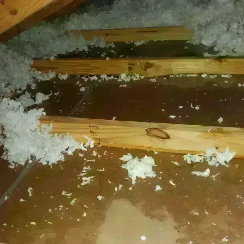 Attic Water Damage in Rennerdale, PA